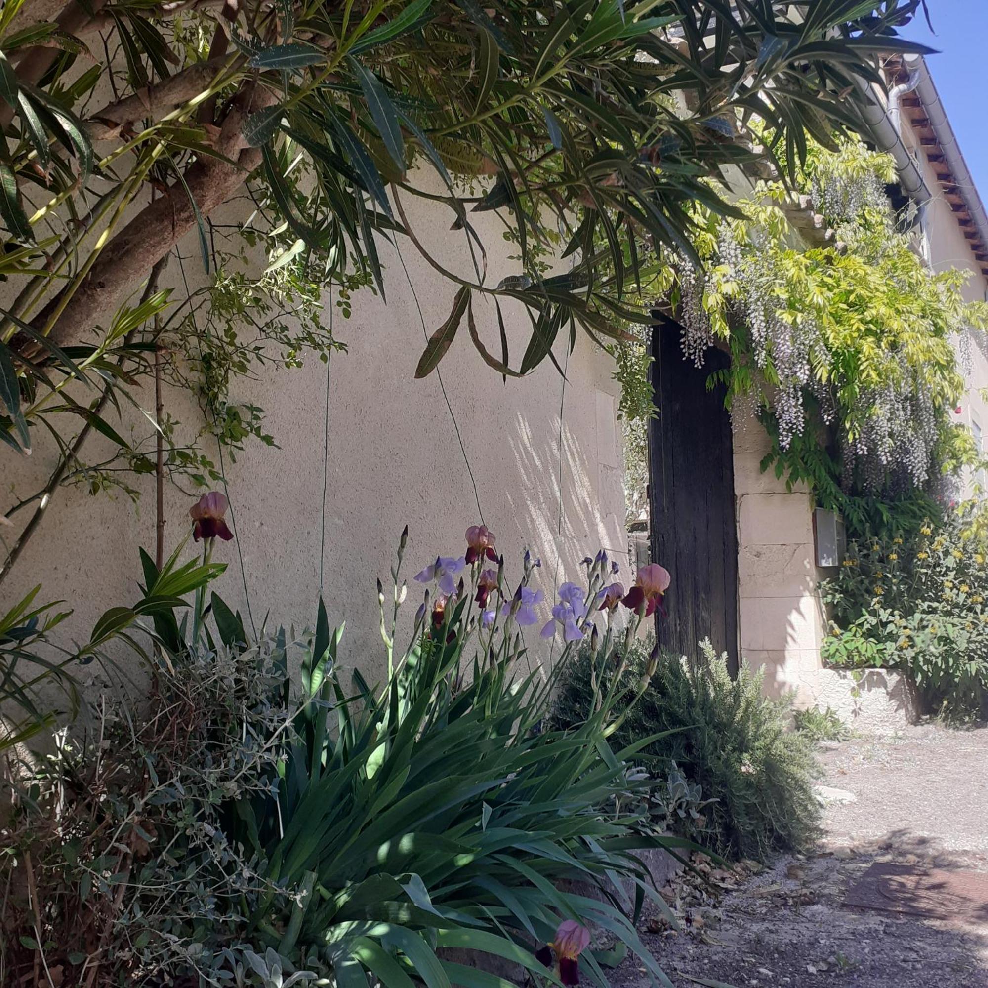 Les Gres Logis De Charme * Grignan